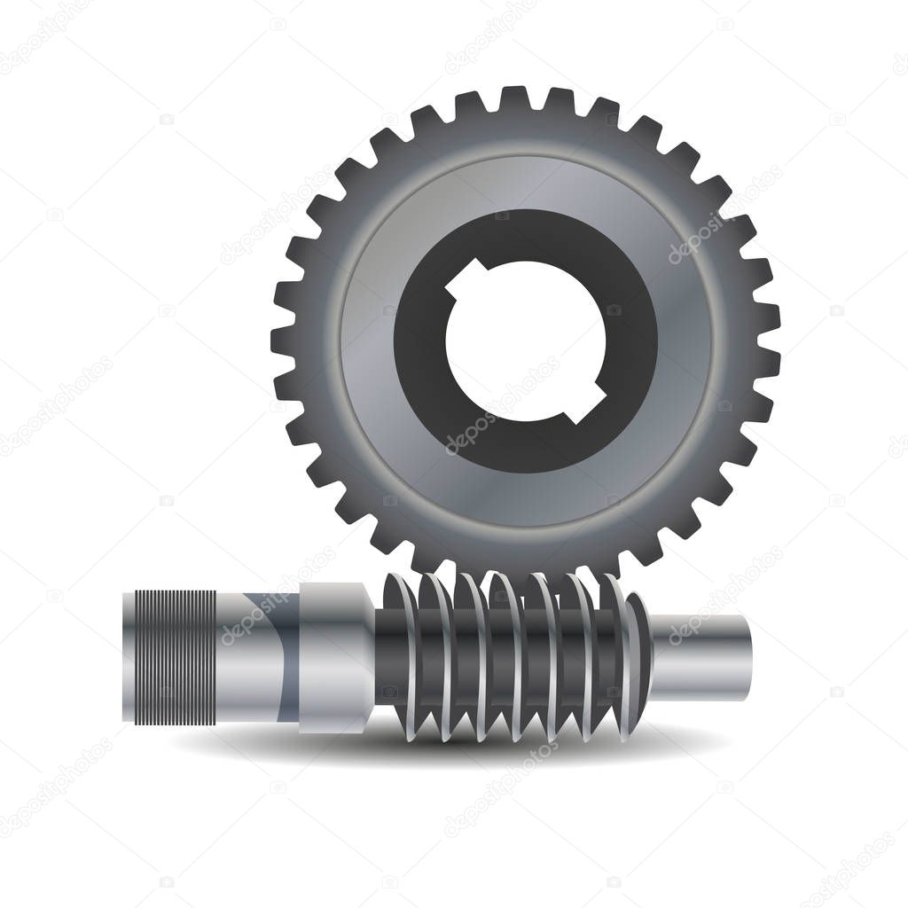 Worm drive. Vector diagram. Protrusion on the gear wheel enter the Worm shaft to form a gearing system. Worm shaft is a
