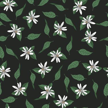 Çiçekler ve mandalina ağacı yaprakları siyah bir arka plan üzerinde sorunsuz vektör desen