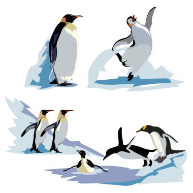 Bir dizi farklı pozlar gerçekçi İmparatorluk penguenler. Yetişkin kuşlar ve civcivler.