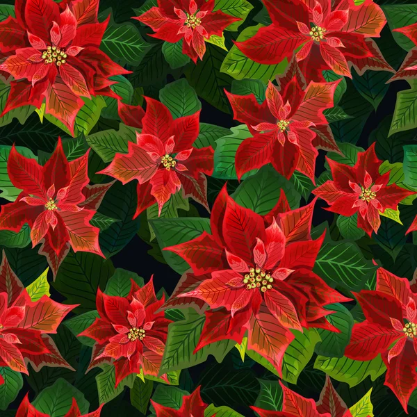 Boże Narodzenie zimowe Poinsettia kwiaty bezszwowe tło, kwiatowy wzór druku w wektor — Wektor stockowy