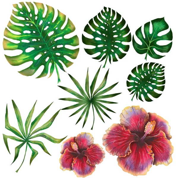 Set tropis musim panas berwarna air untuk desain spanduk atau selebaran dengan daun palem eksotis, bunga kembang sepatu — Stok Foto