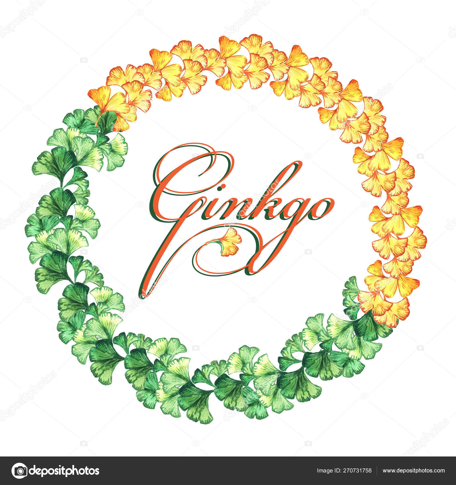 イチョウ葉の黄色と緑の葉の丸いフレーム 水彩 印刷 招待状 グリーティングカード ストック写真 C Zazulla