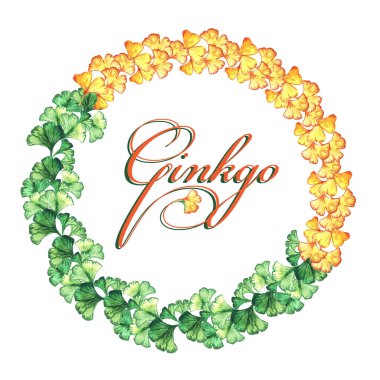 Ginkgo biloba sarı ve yeşil yaprakları yuvarlak çerçeve. Suluboya. Yazdırma, davetiye, tebrik kartı