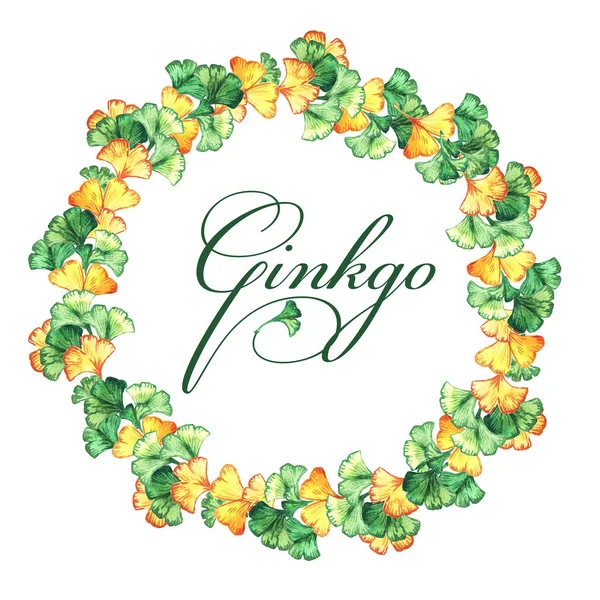 Marco redondo de hojas amarillas y verdes de ginkgo biloba. Acuarela — Foto de Stock