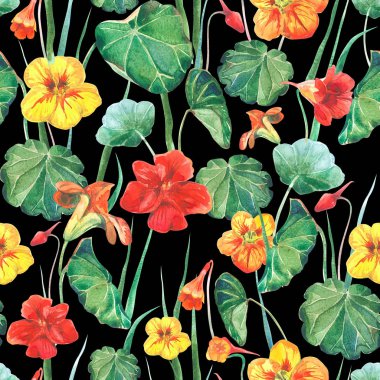 Nasturtium çiçek ve yaprakların dikişsiz suluboya kumaş arka plan. Eski stil siyah arka plan.