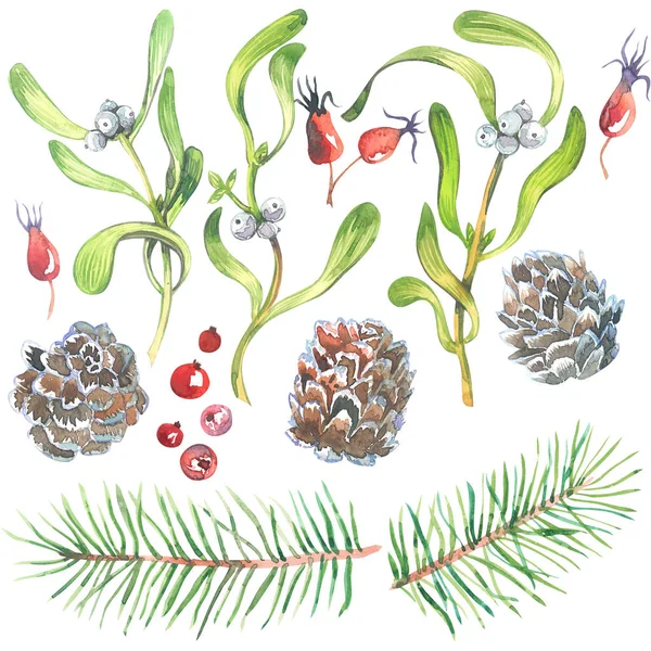 Weihnachten Aquarell Set mit Misteln, Fichtenzweigen, Zapfen und Tannenzweigen mit Beeren isoliert auf weißem Hintergrund. Weihnachtsdekoration Aquarell Illustration Set. — Stockfoto