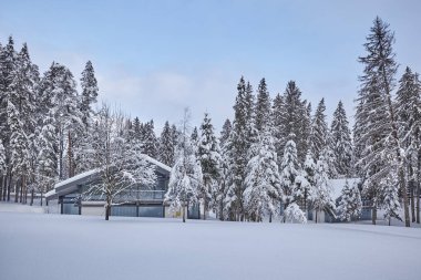 Kış orman içinde ahşap Fince evin karla kaplı. Finlandiya, Rusya Federasyonu