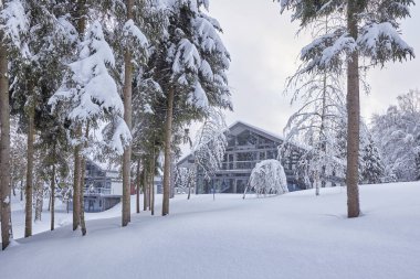 Kış orman içinde ahşap Fince evin karla kaplı. Finlandiya, Rusya Federasyonu