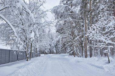 Kış orman içinde ahşap Fince evin karla kaplı. Finlandiya, Rusya Federasyonu