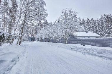 Kış orman içinde ahşap Fince evin karla kaplı. Finlandiya, Rusya Federasyonu