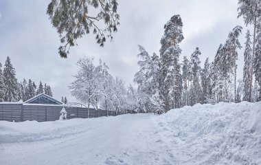 Kış orman içinde ahşap Fince evin karla kaplı. Finlandiya, Rusya Federasyonu