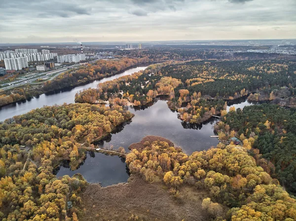 Sunrise Serebryanyy Bor Gümüş Pinewood Dipsiz Göl Üzerinde Khoroshevo Mnevniki — Stok fotoğraf