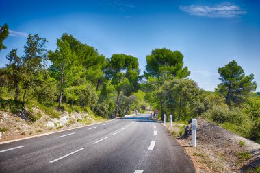 Güzel, boş köy yolunda Provence, Güney Fransa çınar ağaçları ile kaplı. Panoramik görünüm
