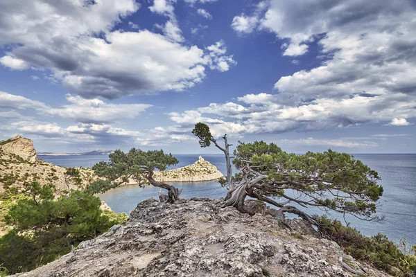 Dağları ve ağaçları Novyi Svit (yeni ışık) köyü yakınlarında. Şehir bölgesi Sudak, Kırım Cumhuriyeti. Panoramik görünüm