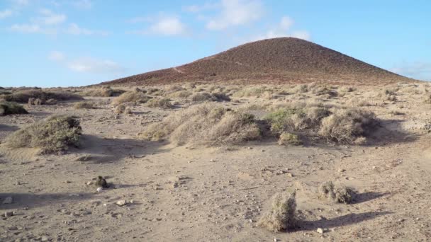Woestijn Landschap Met Volcan Nationaal Park Van Teide Tenerife Canarische — Stockvideo