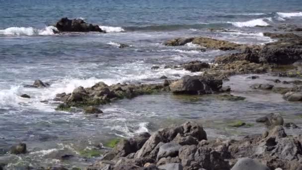 海の波の岩 昼間でテネリフェ島 カナリア諸島 スペインのしぶき — ストック動画