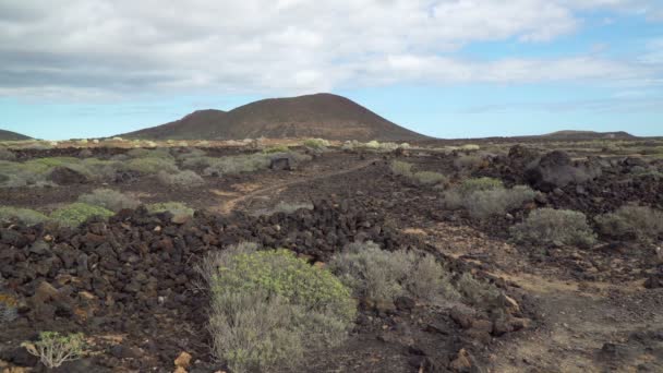 Berglandschap Van Het Nationaal Park Van Teide Tenerife Canarische Eilanden — Stockvideo
