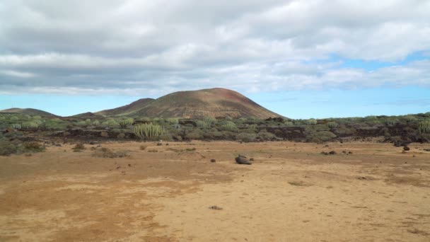 Vulkaniska Landskapet Nationalparken Teide Teneriffa Kanarieöarna Spanien Dagtid — Stockvideo