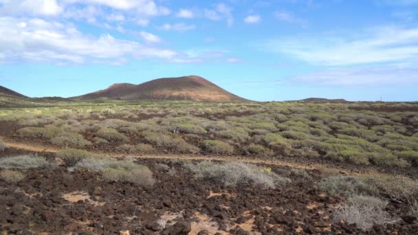 Natur Landskap Teide National Park Teneriffa Kanarieöarna Spanien — Stockvideo