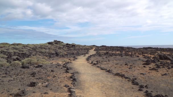 Μικρό Ίχνος Στο Εθνικό Πάρκο Teide Τενερίφη Κανάριοι Νήσοι Ισπανία — Αρχείο Βίντεο