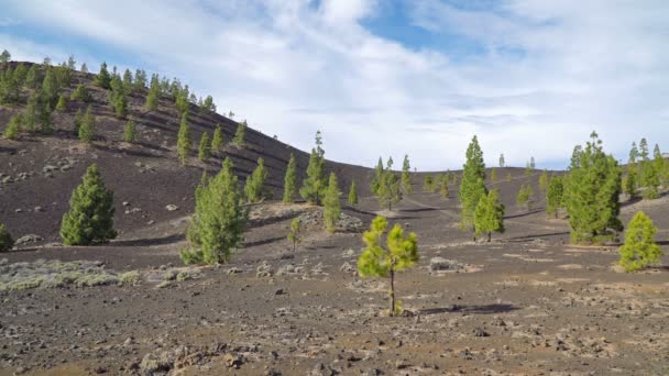 Pemandangan Taman Nasional Teide Tenerife Kepulauan Canary Spanyol — Stok Video