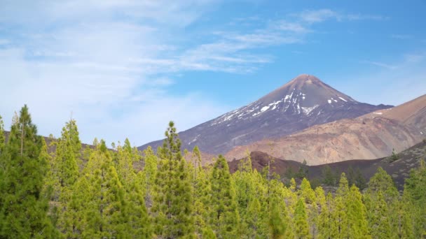 在泰德国家公园 特内里费岛 西班牙的松树森林和泰德火山山白天视图 — 图库视频影像