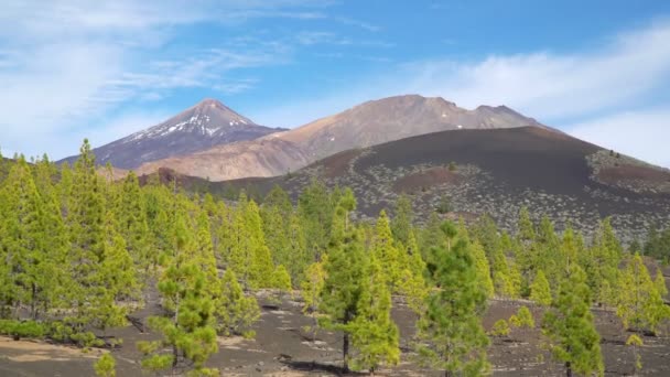 Flygfoto Över Teide Vulkanen Mountain Med Pinjeskog Nationalparken Teide Teneriffa — Stockvideo