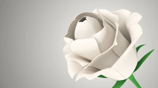 Vykreslování Bílou Růži Šedém Pozadí — Stock fotografie