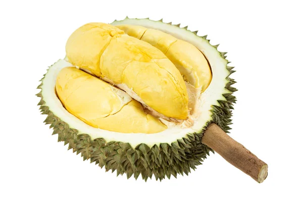 Beyazda izole edilmiş durian meyvelerinin yakınlaştırılması