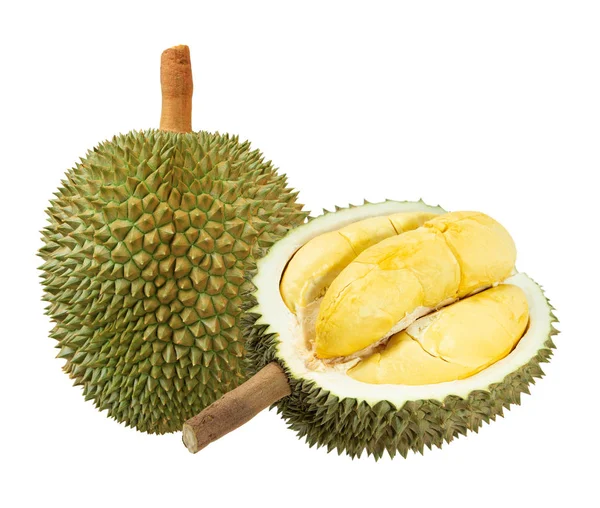 Beyazda izole edilmiş durian meyvelerinin yakınlaştırılması
