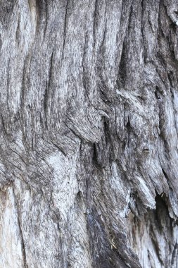 Eski ahşap dokusunu kapat