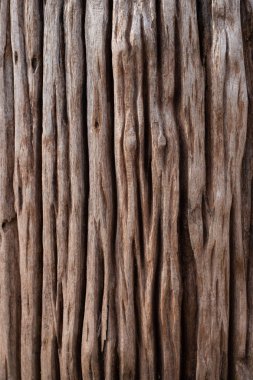 Eski ahşap dokusunu kapat