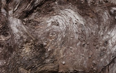 Eski ahşap dokusunu kapat