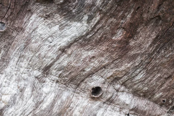 Close Old Wood Texture — Stock Photo, Image