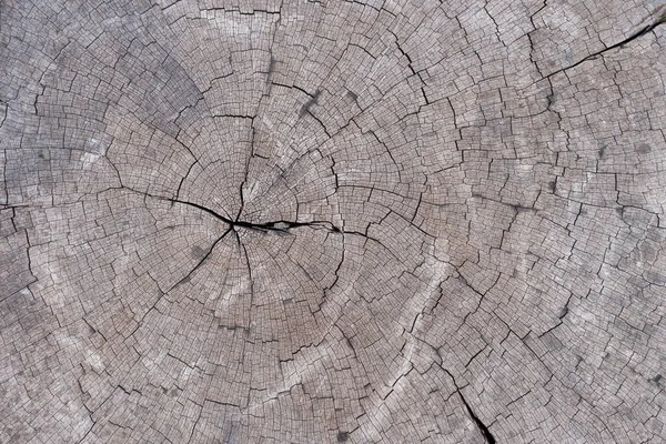 Primo Piano Della Struttura Legno Vecchio — Foto Stock