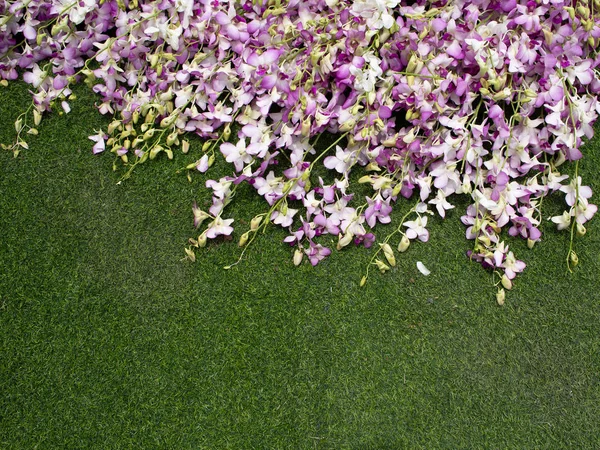 Фіолетовий Квітковий Фон Орхідеї — стокове фото