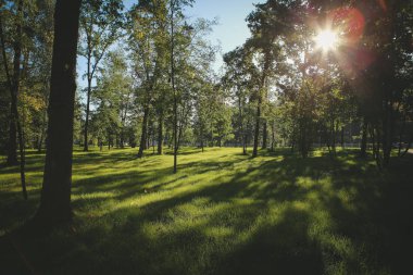 güneş güzel park
