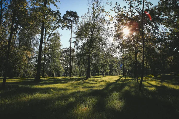 Schöner Park Der Sonne — Stockfoto