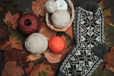 Konu yapraklarda bir parkta örgü