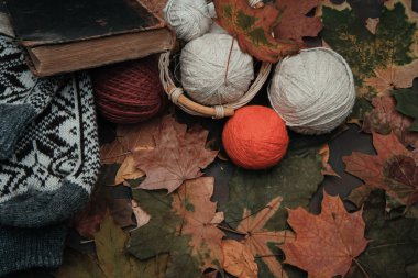 Konu yapraklarda bir parkta örgü