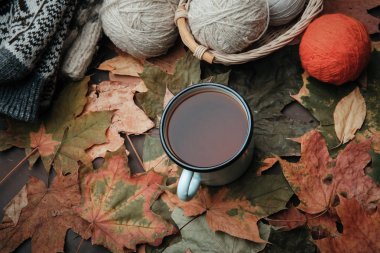 Konu yapraklarda bir parkta örgü