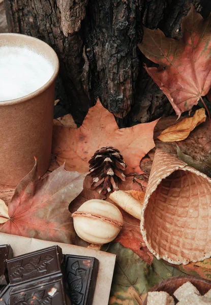 various sweets on leaves in autumn park