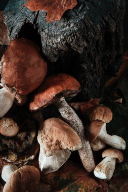 mantar yemek pişirmek için çeşitli
