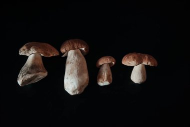 mantar yemek pişirmek için çeşitli