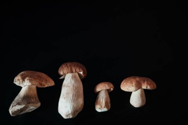 mantar yemek pişirmek için çeşitli