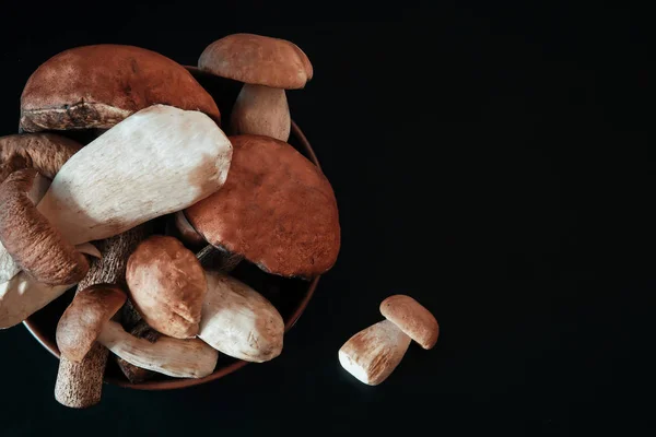 Een Verscheidenheid Van Paddestoelen Voor Het Koken — Stockfoto