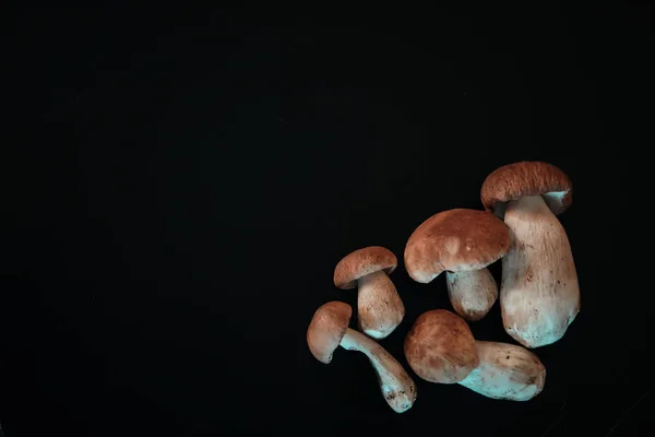 Variety Mushrooms Cooking — Stock Photo, Image