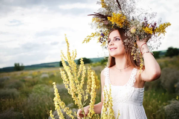 Uma Menina Uma Grinalda Flores Campo — Fotografia de Stock