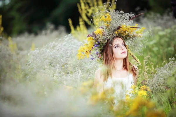 Una Chica Una Corona Flores Campo — Foto de Stock