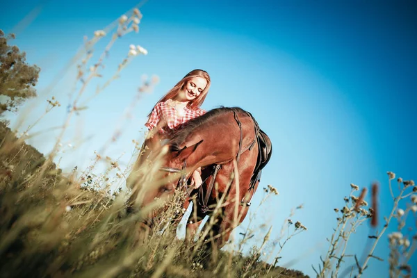馬とフィールドで美しい女性 — ストック写真